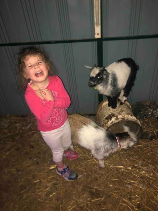 הוילה ברידייל Lappi Farm מראה חיצוני תמונה